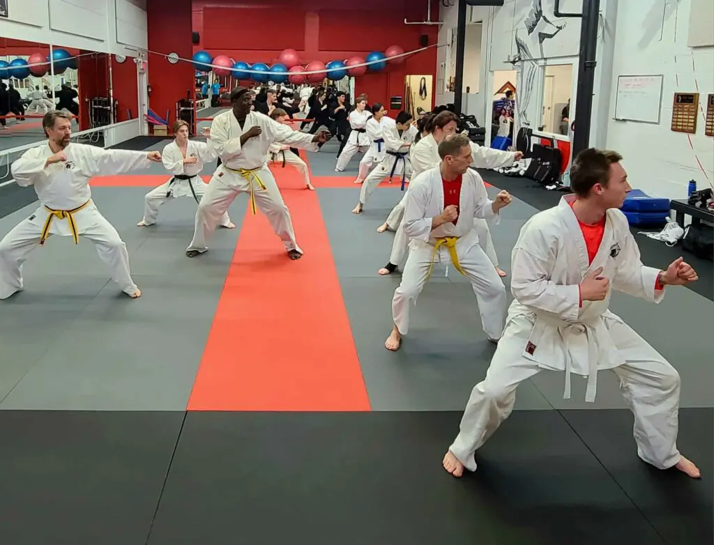 Adult Martial Arts Classes | Okami Kai Martial Arts and Fitness